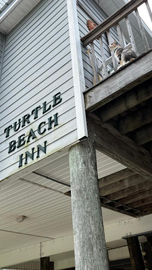 Turtle Beach Inn Indian Pass Exteriér fotografie